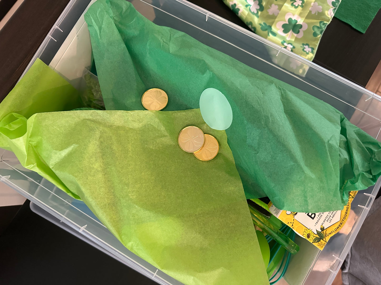 Monthly SUBSCRIPTION BusyBinz